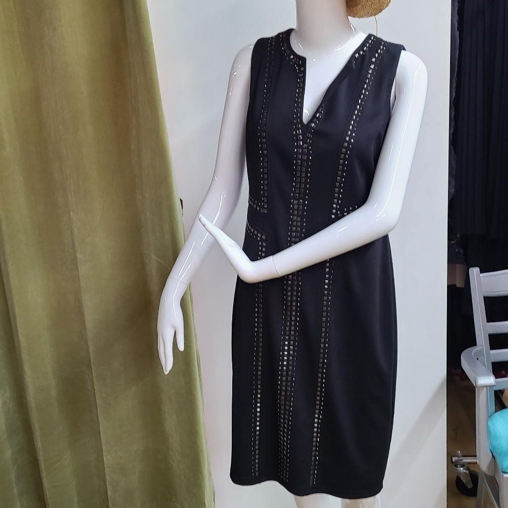NWOT Cartise Stud Dress